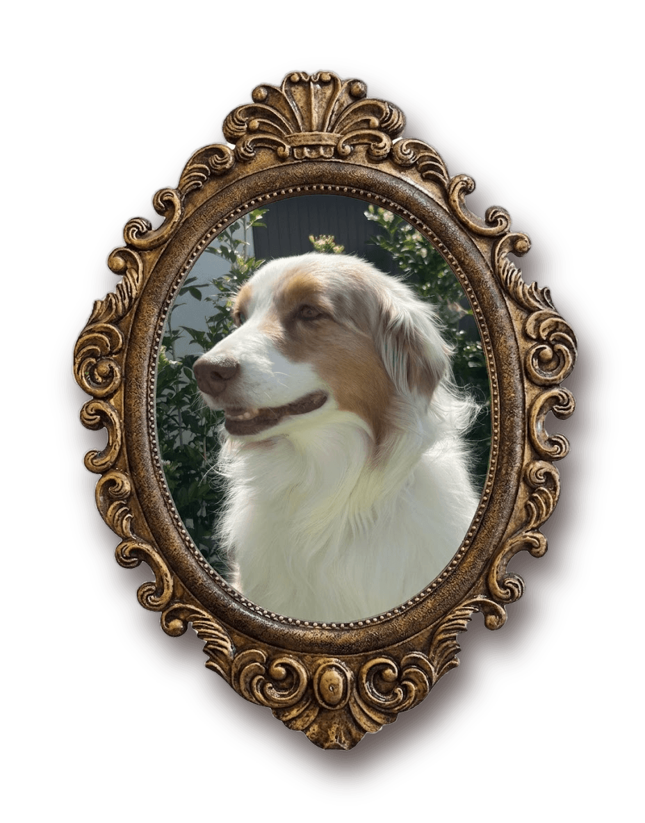 Riley in an ornate gold frame